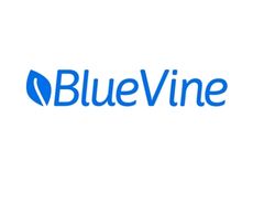BlueVine - Line of Credit