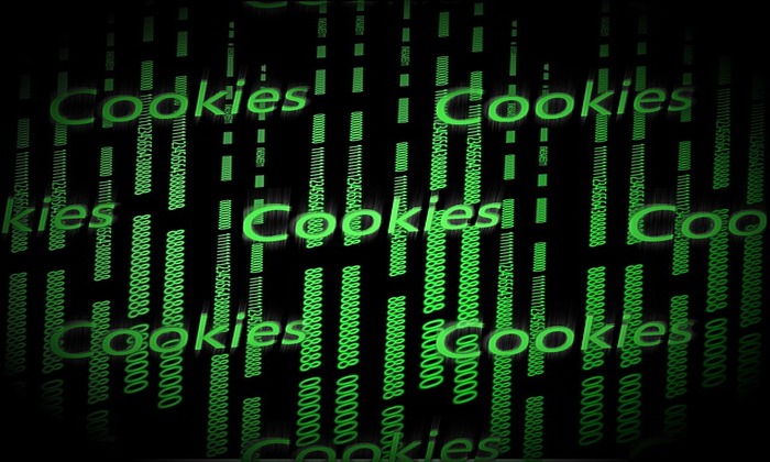 Report: Business Not Ready for Cookie-less Internet