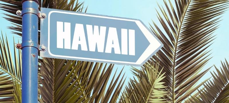 Best-Hawaii-Registered-Agent-2022-Top-7-Ranked-Review-_Reviews-1