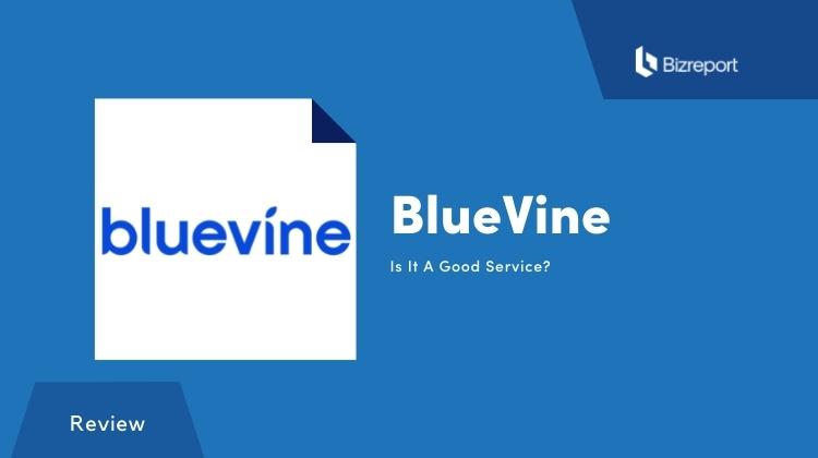 Bluevine Reviews 2022: Pros, Cons and Alternatives