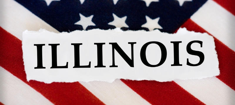 Best LLC Services in Illinois (1)