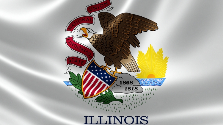 Best LLC Services in Illinois