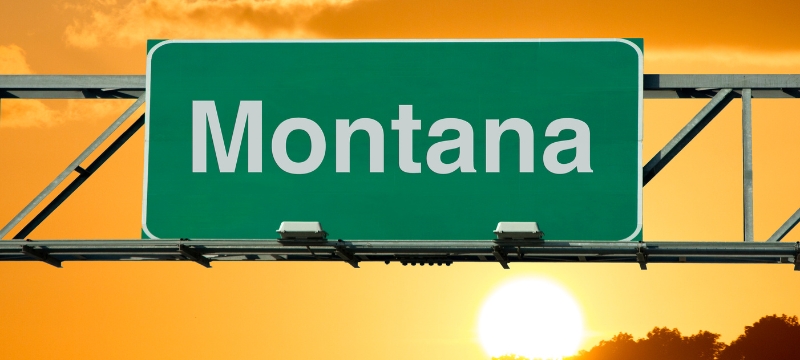 Best LLC Services In Montana