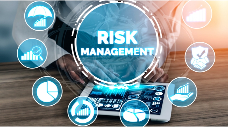 What Are Risk Assets