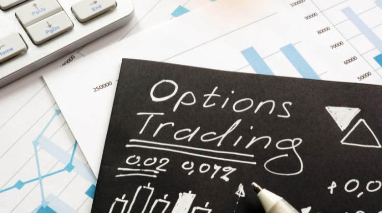 How To Trade Options: Free Guide 2023