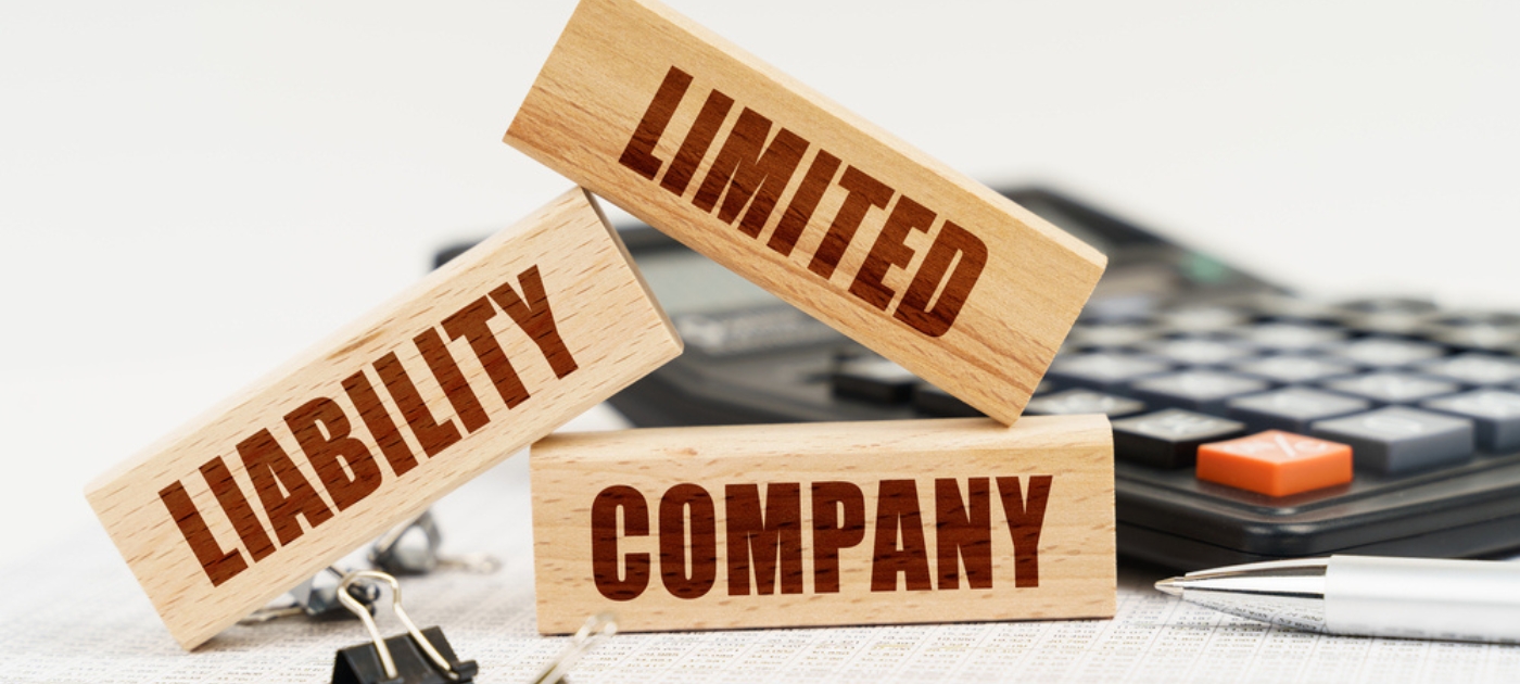 LLC Owner Title 2023: What Should You Know?