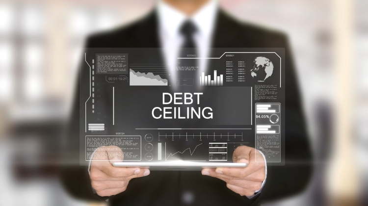 Navigating The Debt Ceiling Crisis A Small Business Perspective (1)