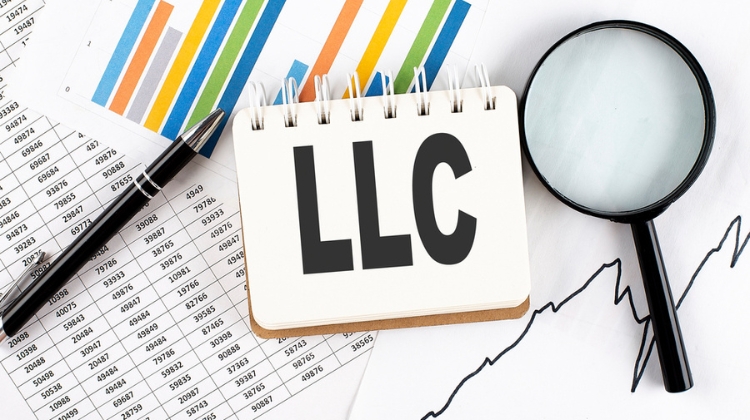 Series LLC vs Traditional LLC What Is the Difference