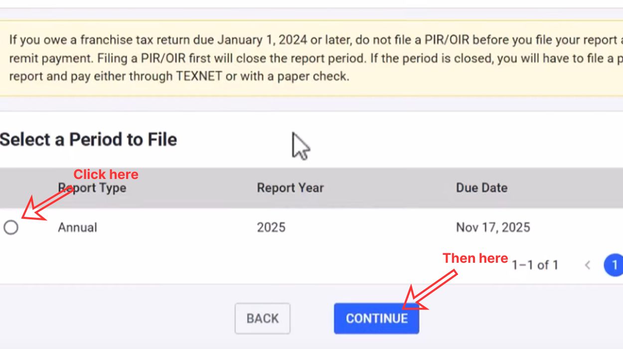Choose the report year and continue