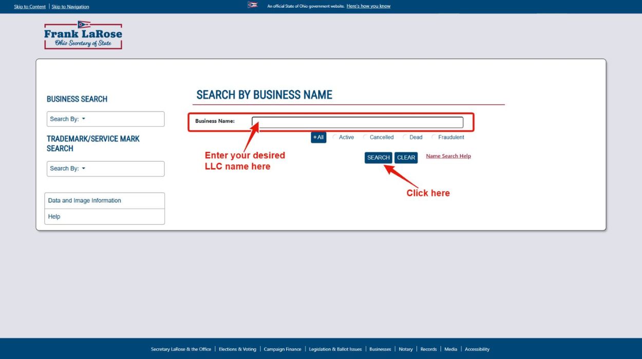 Enter your desired LLC name.