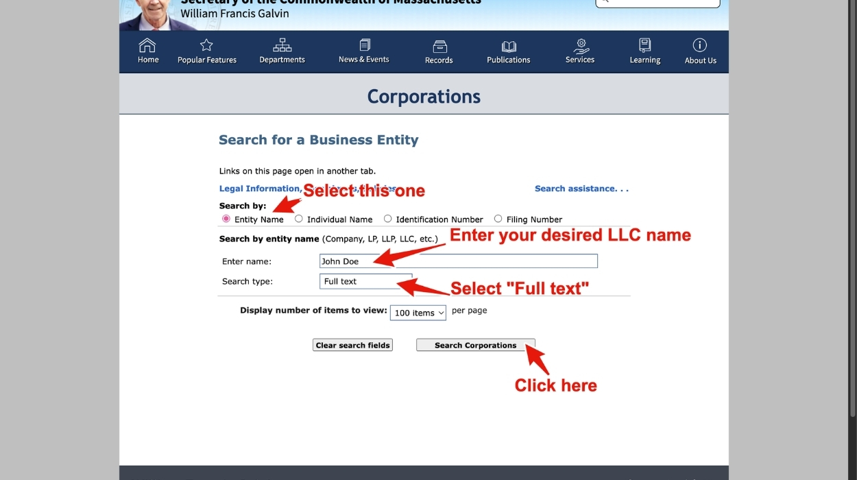 Enter your desired LLC name. Photo: Erik Pham